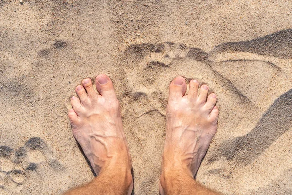 Self Φωτογραφία Των Ποδιών Στην Άμμο Παραλία Φόντο Πάνω Άποψη — Φωτογραφία Αρχείου