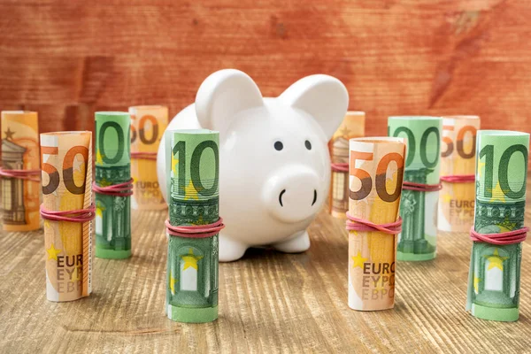 Banco Porquinho Com Notas Euro Enroladas Conceito Poupança Investimento — Fotografia de Stock