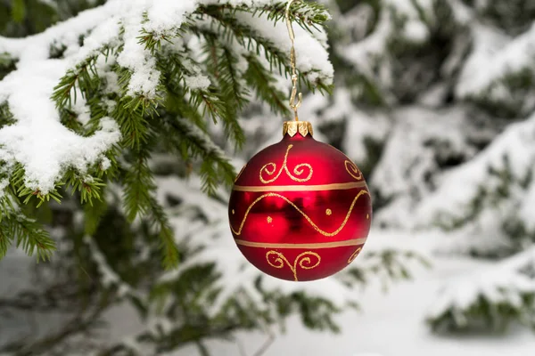 Κόκκινη Χριστουγεννιάτικη Μπάλα Στο Χιόνι Που Καλύπτει Fir Υποκατάστημα — Φωτογραφία Αρχείου