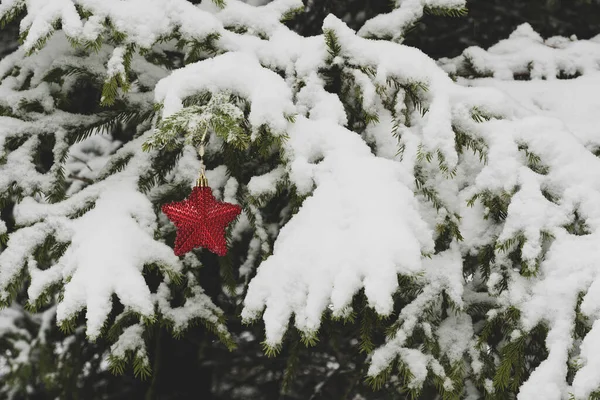 Nový Rok Hvězda Tvaru Dekorace Visí Jedli — Stock fotografie