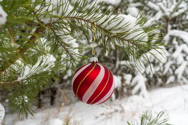 Kerstbal Hangend Besneeuwde Dennentak — Stockfoto