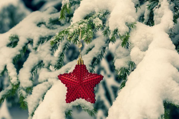 Rode Kerstster Besneeuwde Dennentak Blauw Getinte Afbeelding — Stockfoto