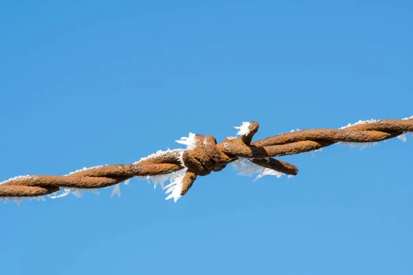 Alambre Púas Esmerilado Con Cristales Hielo Fondo Del Cielo Claro —  Fotos de Stock