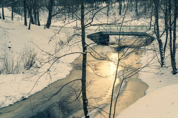 Vinterscen Parken Liten Bro Över Fruset Vatten Morgonen — Stockfoto
