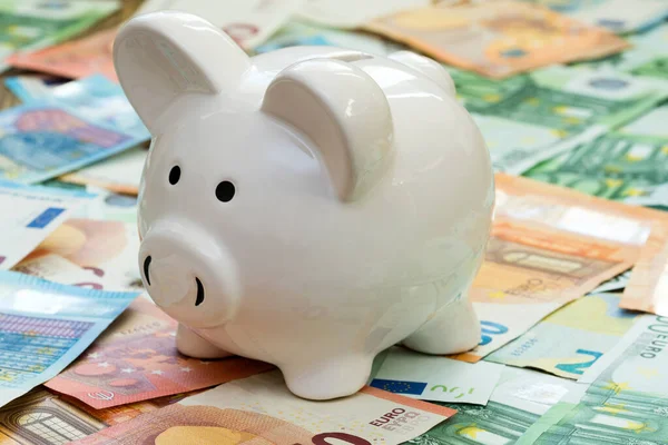 Piggy Bank Stil Pengar Rutan Eurosedlar — Stockfoto