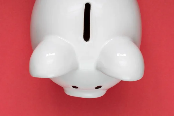 Spar Oder Sparkonzept Mit Weißem Sparschwein Auf Rotem Hintergrund Ansicht — Stockfoto