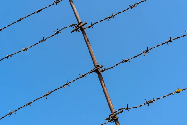 Recinzione Filo Spinato Sfondo Cielo Chiaro — Foto Stock