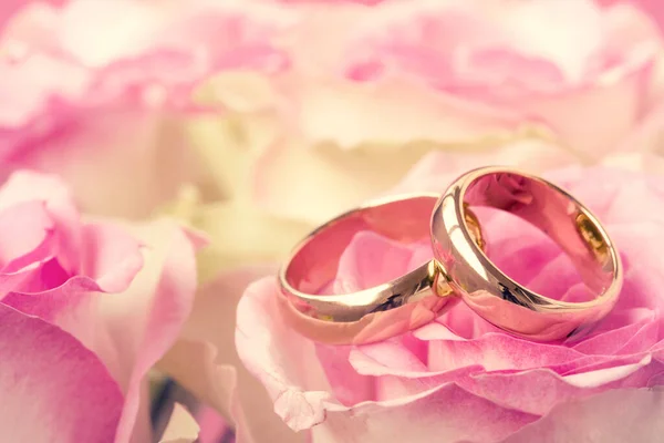 Свадебные Кольца Красивым Цветочком Розы Крупный План — стоковое фото