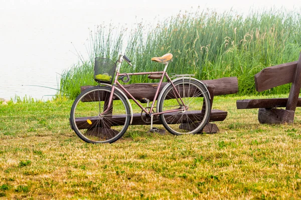 湖畔の木のベンチにもたれかかる古い自転車 — ストック写真