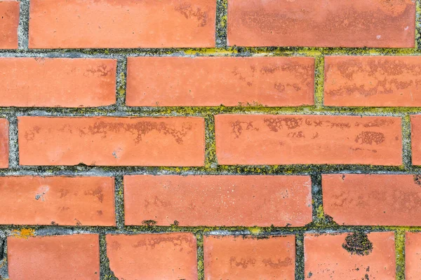 Turuncu Tuğla Duvar Yakın Plan Arkaplan Olarak Kullanılabilir — Stok fotoğraf