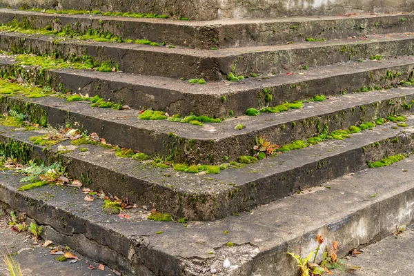 Yeşil Yosunlarla Kaplı Eski Merdivenler Eski Bir Binanın Eski Merdivenleri — Stok fotoğraf