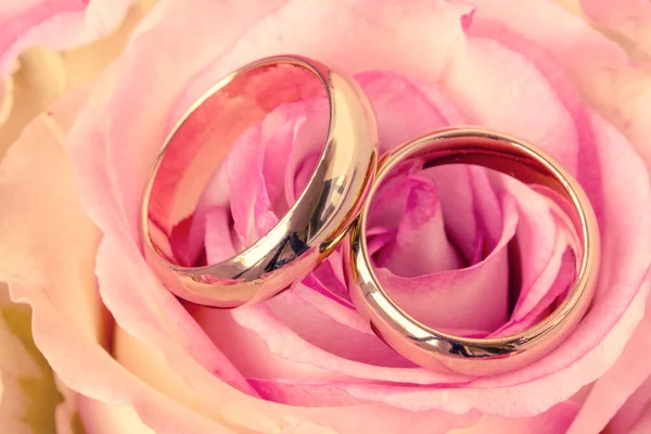 美しいバラの花を持つ2つの結婚指輪 クローズアップビュー ストック画像
