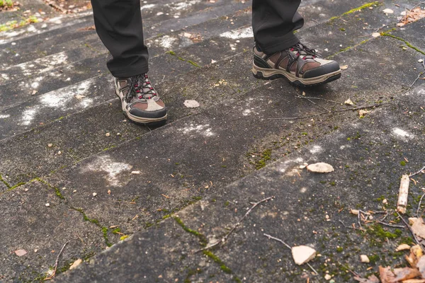 Wanderer Einem Wald Der Die Alte Treppe Hinauf Geht Reisekonzept — Stockfoto