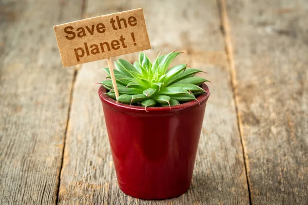 Pequeño Cactus Con Una Nota Planet Cuidar Medio Ambiente Hacer —  Fotos de Stock