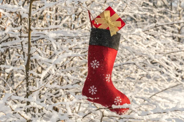 雪と木の上にぶら下がっクリスマスストッキング — ストック写真