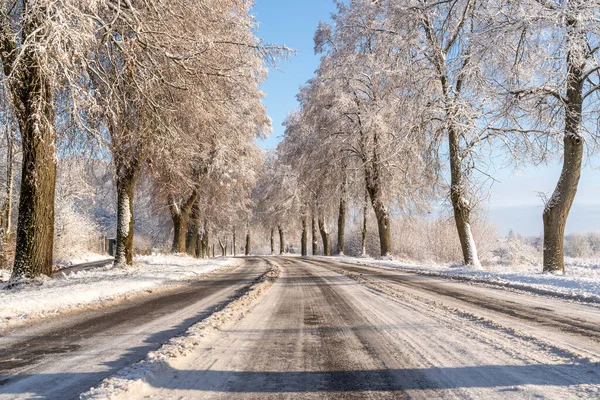 冬日的道路 雪地的树木 霜冻的风景 — 图库照片