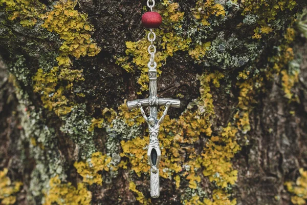 Rosary Background Old Tree Bark — Stock Photo, Image