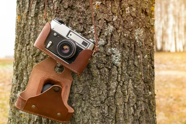 Oude Camera Hangt Aan Een Boom Concept Voor Tijd Buiten — Stockfoto