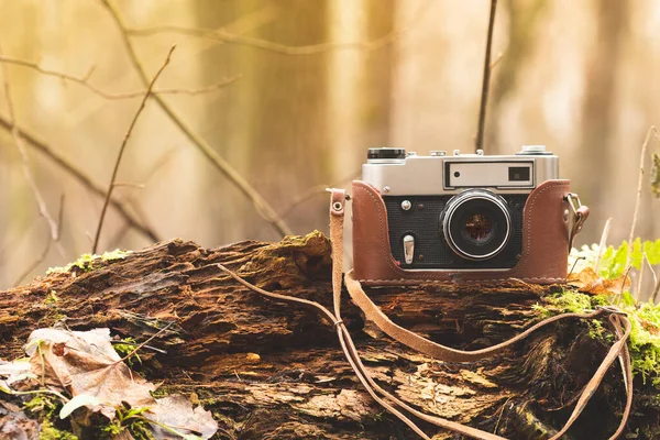 Old 35Mm Film Camera Placed Fallen Rotten Tree — Stock Photo, Image