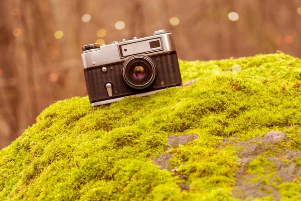 Retro Câmera Fotos Pedra Musgosa Com Fundo Floresta Embaçada — Fotografia de Stock