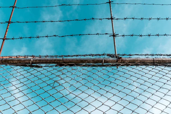 鉄条網と青空を持つ金属製のフェンス — ストック写真