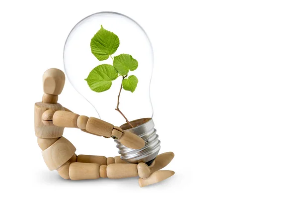 Wooden Man Holds Light Bulb Green Plant Green Eco Energy — Stock Photo, Image