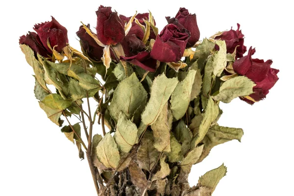 Csokor Szárított Vörös Rózsa Virágok Elszigetelt Fehér Alapon Hagyományos Szimbóluma — Stock Fotó