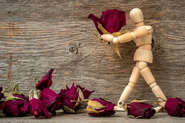 Drewniany Człowiek Zbierający Pąki Suszonych Róż — Zdjęcie stockowe