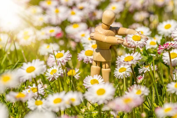 木人形牧草地で花を拾う — ストック写真