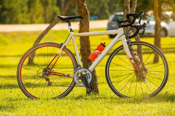 Sport Fiets Geparkeerd Buurt Van Een Boom Open Lucht Gezond — Stockfoto