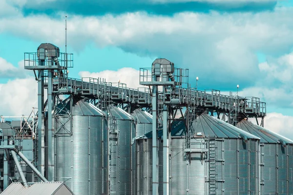 Agricultural Silo Set Storage Tanks Cultivated Agricultural Crops Processing Plant — Stock Photo, Image