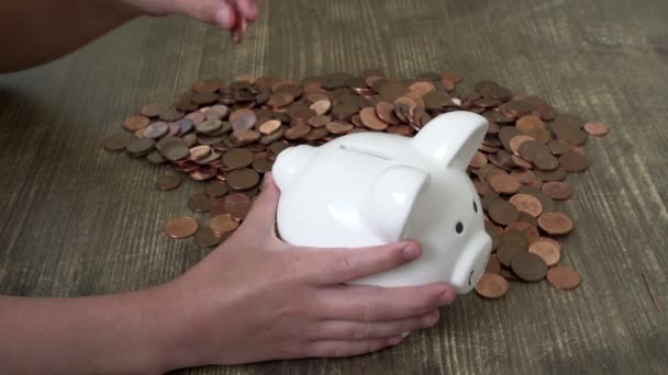 Child Putting Money Piggy Bank — Stock Video