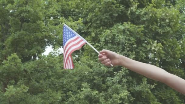 Mão Criança Com Bandeira Americana Livre — Vídeo de Stock