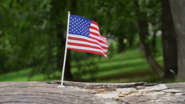 Bandera Americana Ondea Cámara Lenta — Vídeo de stock