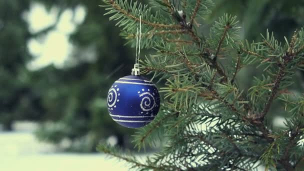 Blue Christmas Ball Fir Branch Slow Motion — Stockvideo