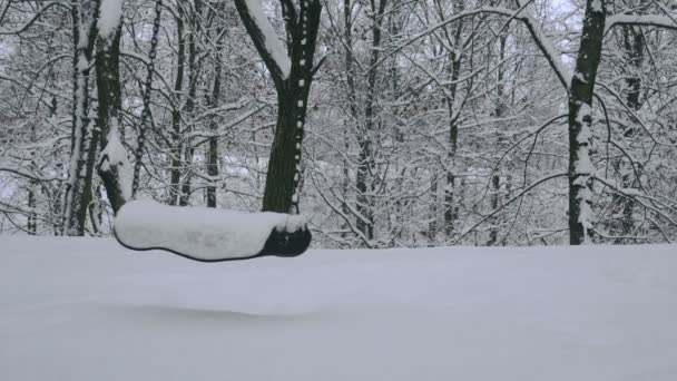在冰雪覆盖的冬季公园里空荡荡地荡秋千 — 图库视频影像