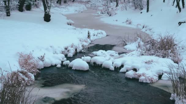 Rzeczny Przepływ Wody Wśród Śniegu Lodu — Wideo stockowe