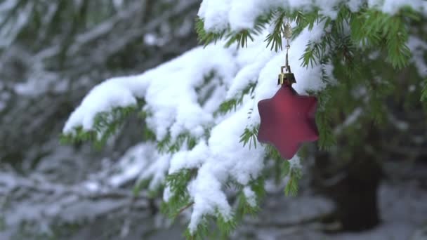 Julstjärna Formad Dekoration Svänger Snöig Gran Träd — Stockvideo