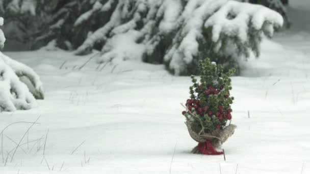 Kleiner Weihnachtsbaum Schnee — Stockvideo