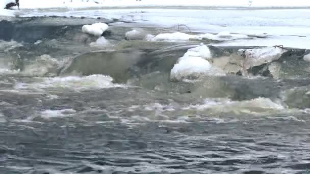 氷結した川の流れ — ストック動画