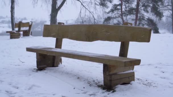 Πτώση Χιονιού Κρύα Χειμωνιάτικη Μέρα Και Άδεια Παγκάκια Στο Πάρκο — Αρχείο Βίντεο