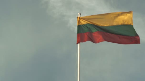 Drapeau Lituanien Agitant Sur Fond Bleu Ciel — Video