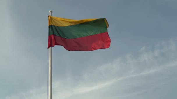 Drapeau Lituanien Agitant Sur Fond Bleu Ciel — Video