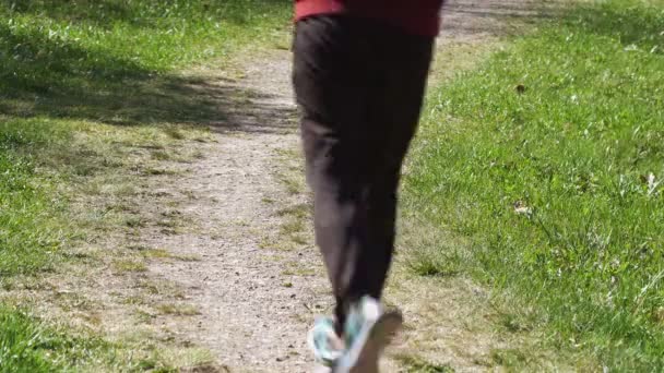 Läuferfüße Laufen Auf Landstraße — Stockvideo