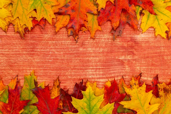 Autumn Frame Your Idea Text Autumn Fallen Dry Leaves Laid — Stock Photo, Image