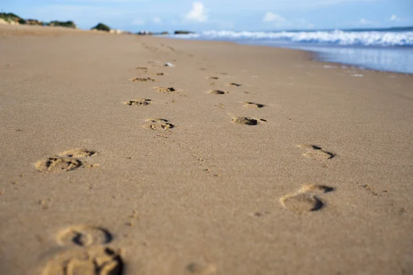 various foot prints on a sandy beach in Albufeira, Algarve, Portugal