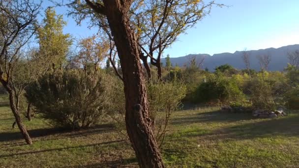 Aufwachen Den Klängen Der Natur Cerro Oro San Luis Argentina — Stockvideo