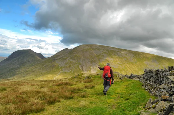 Männlicher Wanderer Den Grünen Hügeln Der Seenplatte Vereinigtes Königreich — Stockfoto