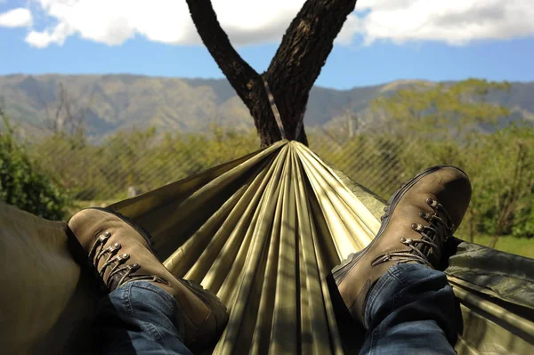 Caminhante Relaxante Uma Rede Desfrutando Cenário Montanha Fotos De Bancos De Imagens