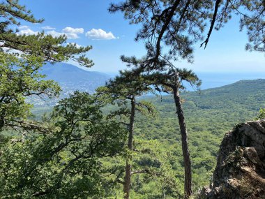 Dağdan Sea Bay 'e bak.